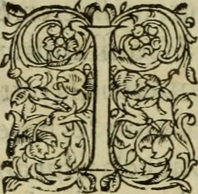 An illustration from Les six liures de la republique, 1577, leaf 497