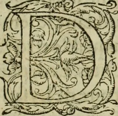 An illustration from Les six liures de la republique, 1577, leaf 524