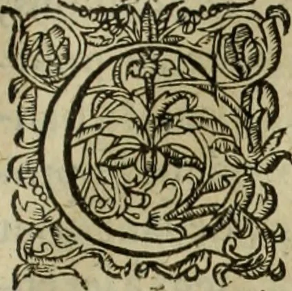 An illustration from Les six liures de la republique, 1577, leaf 538