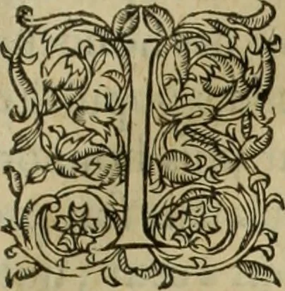 An illustration from Les six liures de la republique, 1577, leaf 544