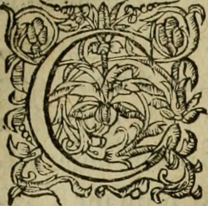 An illustration from Les six liures de la republique, 1577, leaf 560