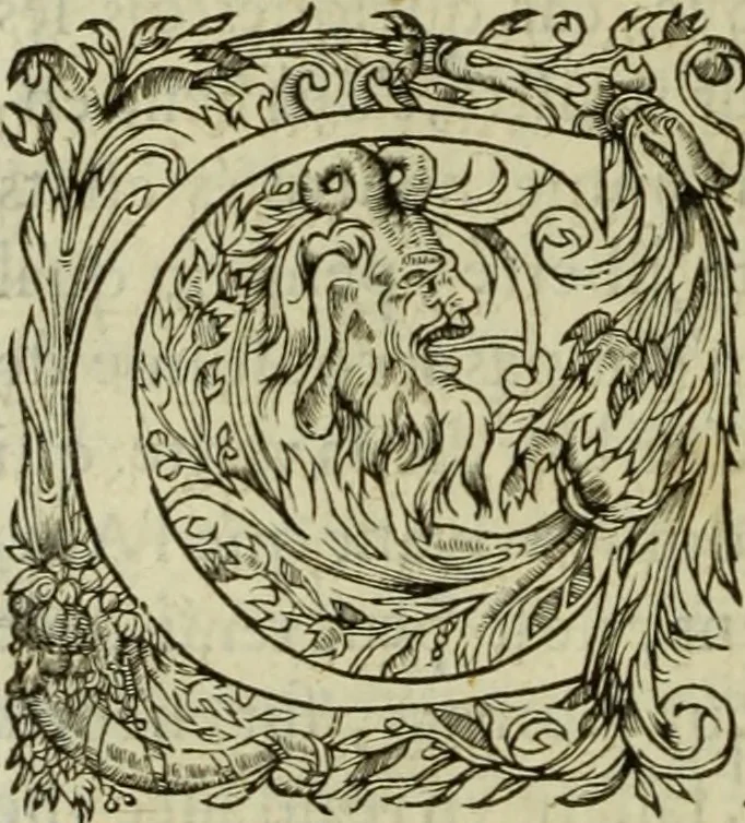 An illustration from Les six liures de la republique, 1577, leaf 621
