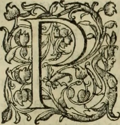 An illustration from Les six liures de la republique, 1577, leaf 636