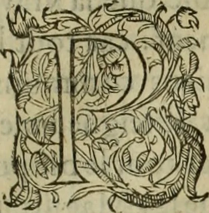 An illustration from Les six liures de la republique, 1577, leaf 694