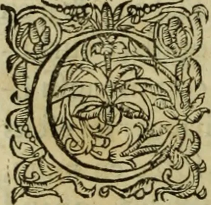 An illustration from Les six liures de la republique, 1577, leaf 719