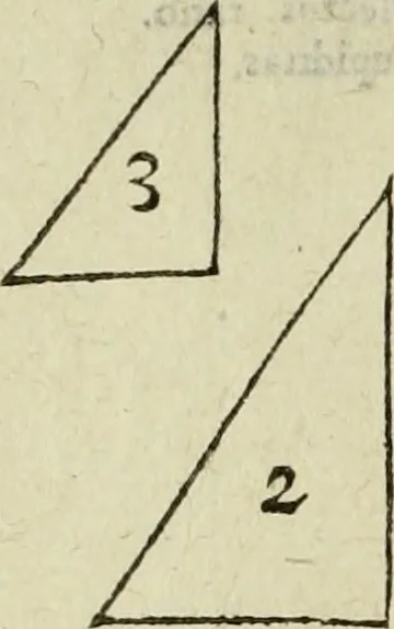 An illustration from Les six liures de la republique, 1577, leaf 777