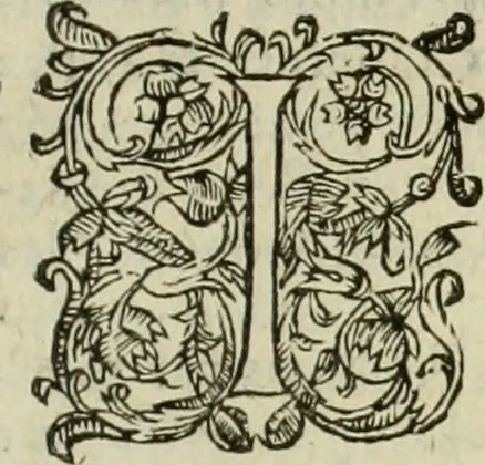 An illustration from Les six liures de la republique, 1577, leaf 780