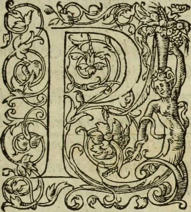 An illustration from Les six liures de la republique, 1577, leaf 8