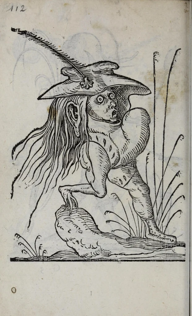 An illustration from Les songes drolatiqves de Pantagrvel : où sont contenues plusieurs figures de l'inuention de maitre François Rabelais & derniere œuure d'iceluy pour la recreation des bons esprits, 1565, leaf 122