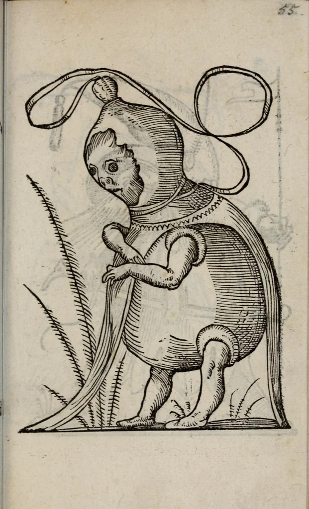 An illustration from Les songes drolatiqves de Pantagrvel : où sont contenues plusieurs figures de l'inuention de maitre François Rabelais & derniere œuure d'iceluy pour la recreation des bons esprits, 1565, leaf 65