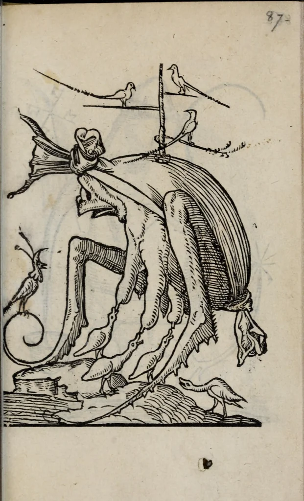An illustration from Les songes drolatiqves de Pantagrvel : où sont contenues plusieurs figures de l'inuention de maitre François Rabelais & derniere œuure d'iceluy pour la recreation des bons esprits, 1565, leaf 97