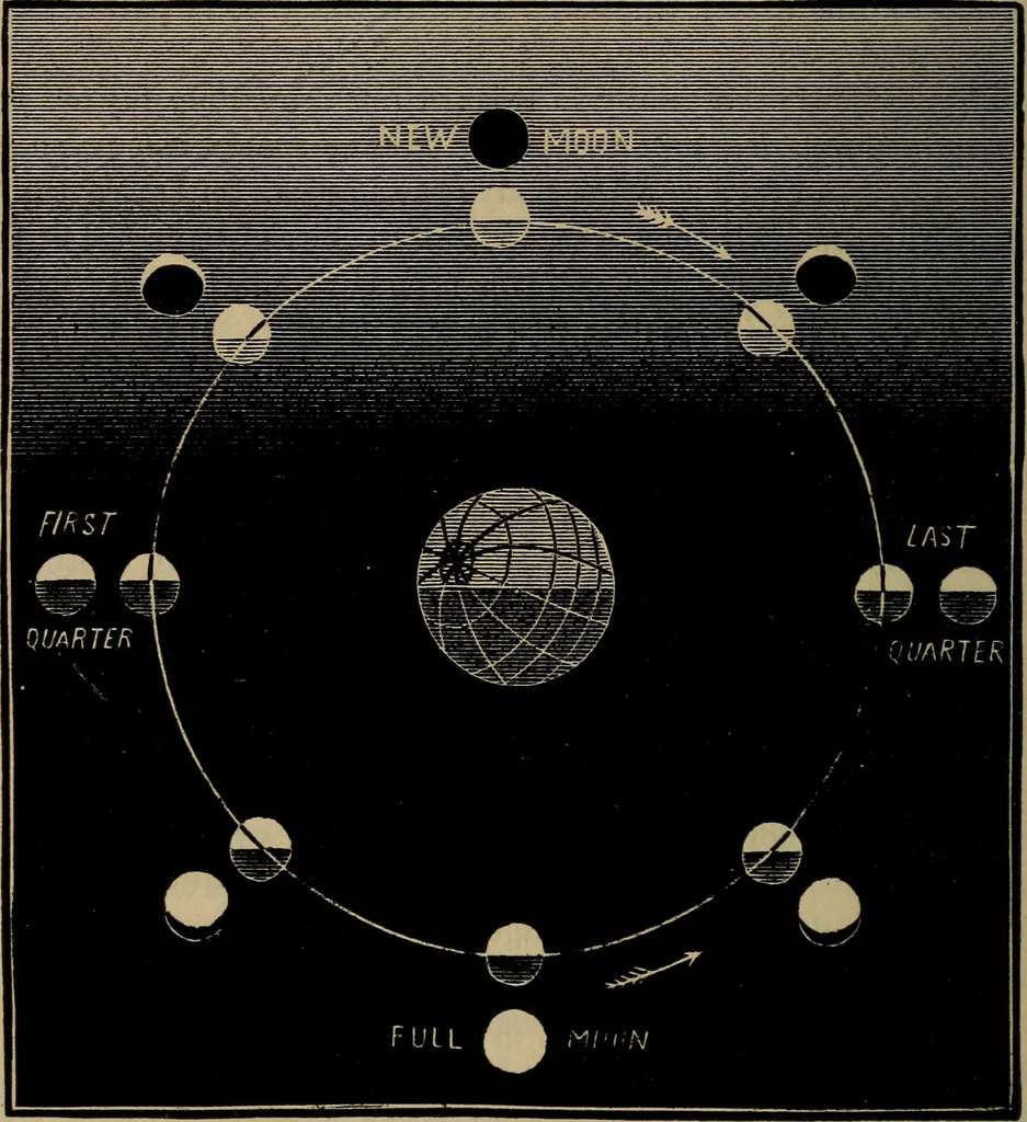 An illustration from Lessons in astronomy including uranography. A brief intoductory course without mathematics, 1896, leaf 111