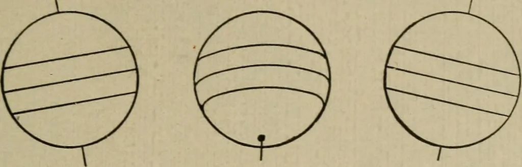 An illustration from Lessons in astronomy including uranography. A brief intoductory course without mathematics, 1896, leaf 126