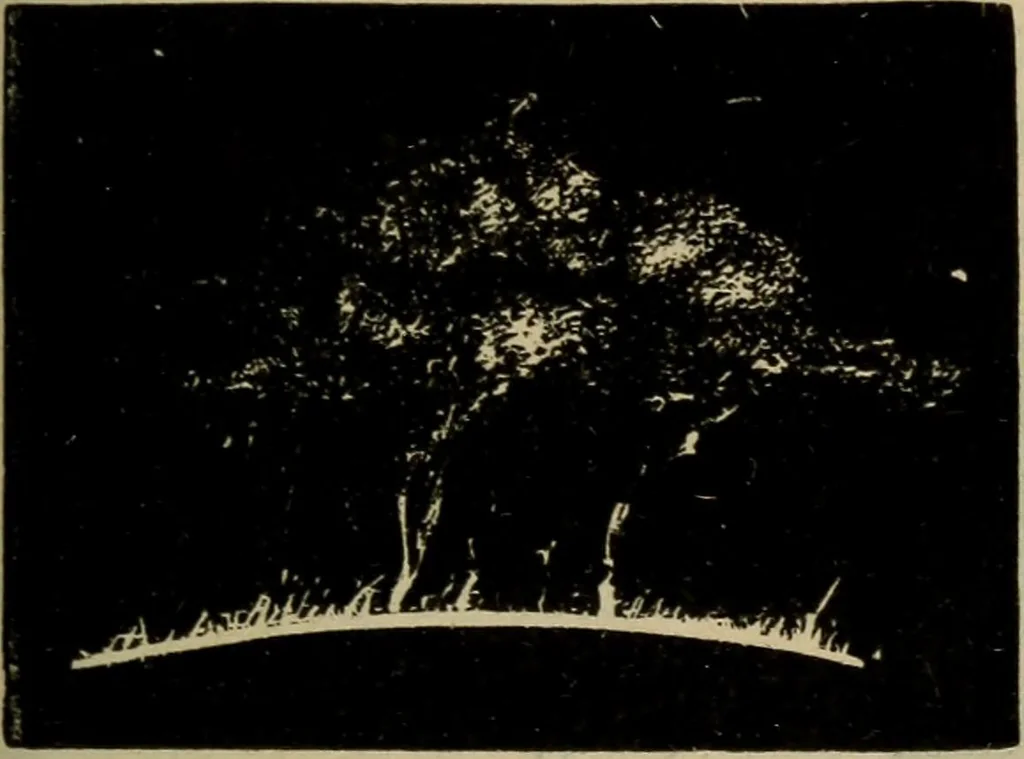An illustration from Lessons in astronomy including uranography. A brief intoductory course without mathematics, 1896, leaf 146
