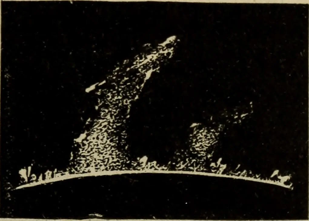 An illustration from Lessons in astronomy including uranography. A brief intoductory course without mathematics, 1896, leaf 146