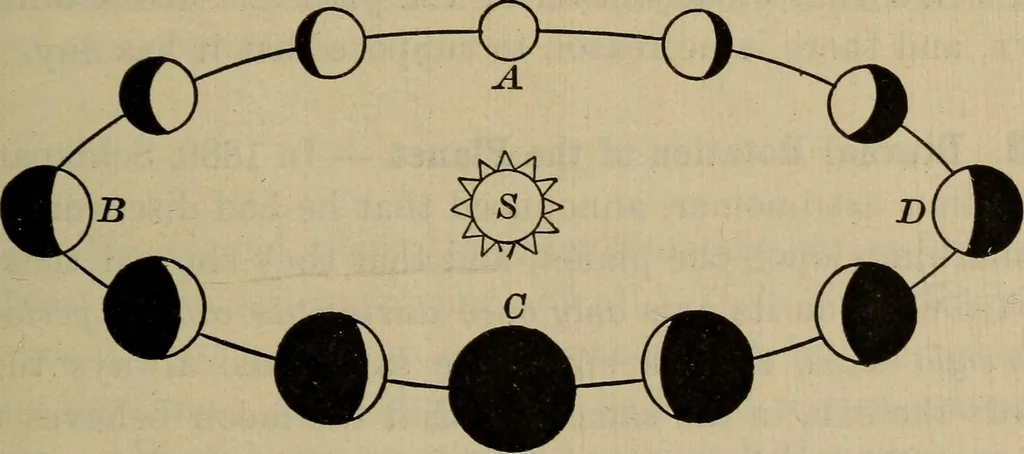 An illustration from Lessons in astronomy including uranography. A brief intoductory course without mathematics, 1896, leaf 186