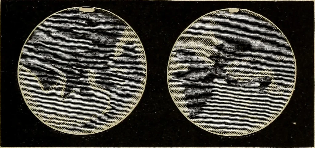 An illustration from Lessons in astronomy including uranography. A brief intoductory course without mathematics, 1896, leaf 196