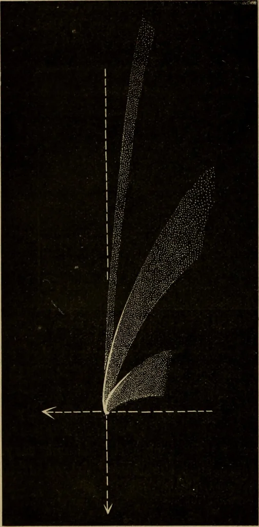 An illustration from Lessons in astronomy including uranography. A brief intoductory course without mathematics, 1896, leaf 241