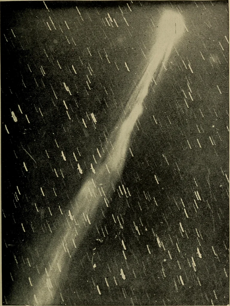 An illustration from Lessons in astronomy including uranography. A brief intoductory course without mathematics, 1896, leaf 248