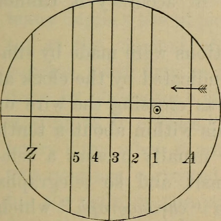 An illustration from Lessons in astronomy including uranography. A brief intoductory course without mathematics, 1896, leaf 328