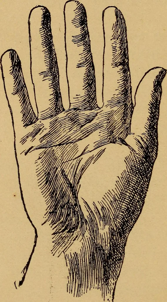 An illustration from Lessons in palmistry; studies of the eye and planetary influences, 1901, leaf 17