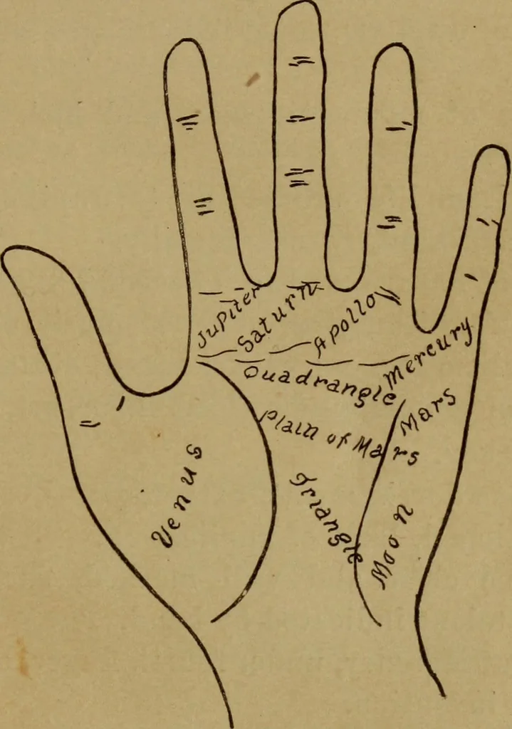 An illustration from Lessons in palmistry; studies of the eye and planetary influences, 1901, leaf 32