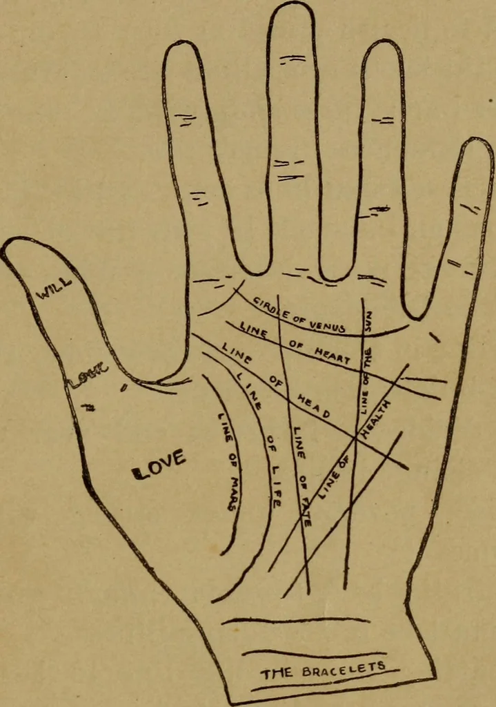 An illustration from Lessons in palmistry; studies of the eye and planetary influences, 1901, leaf 40