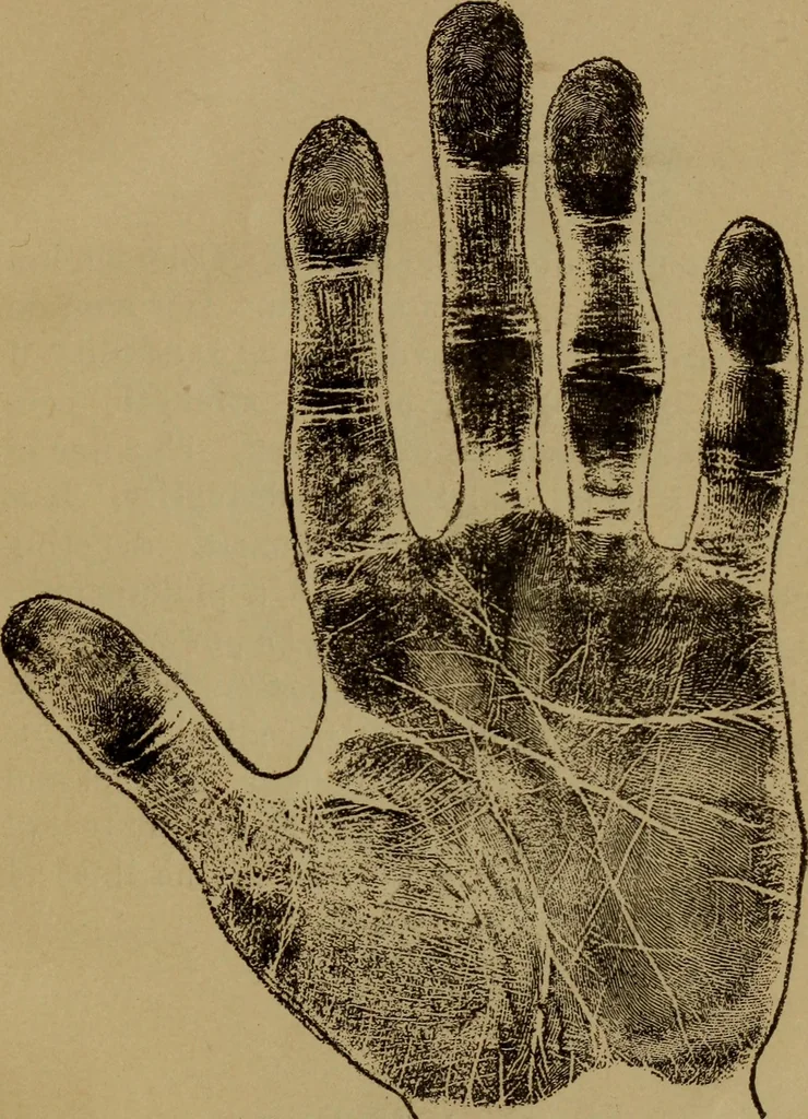 An illustration from Lessons in palmistry; studies of the eye and planetary influences, 1901, leaf 68