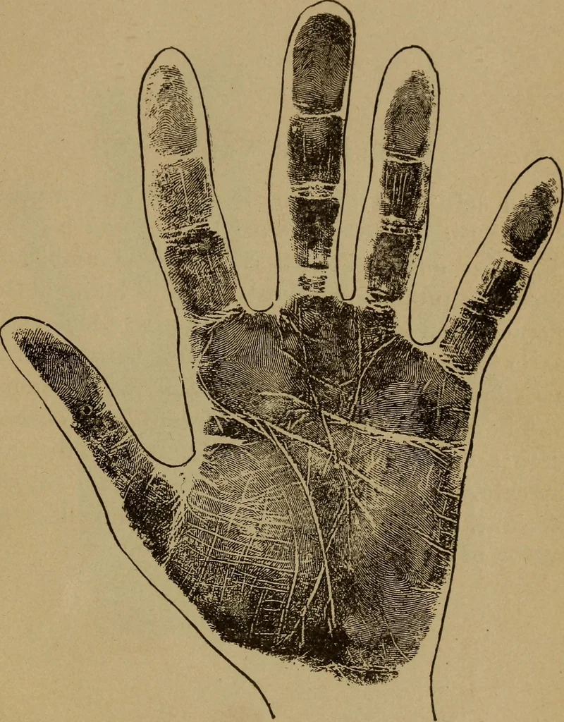 An illustration from Lessons in palmistry; studies of the eye and planetary influences, 1901, leaf 72