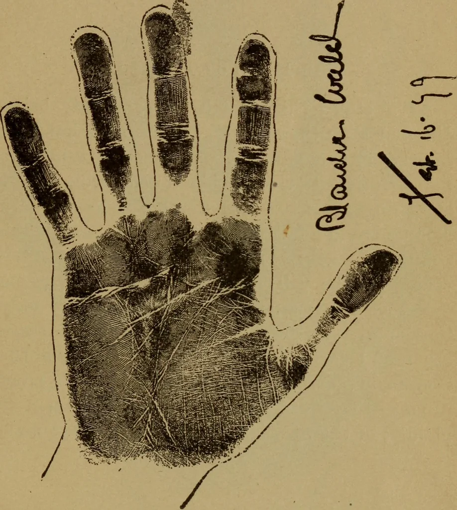 An illustration from Lessons in palmistry; studies of the eye and planetary influences, 1901, leaf 74