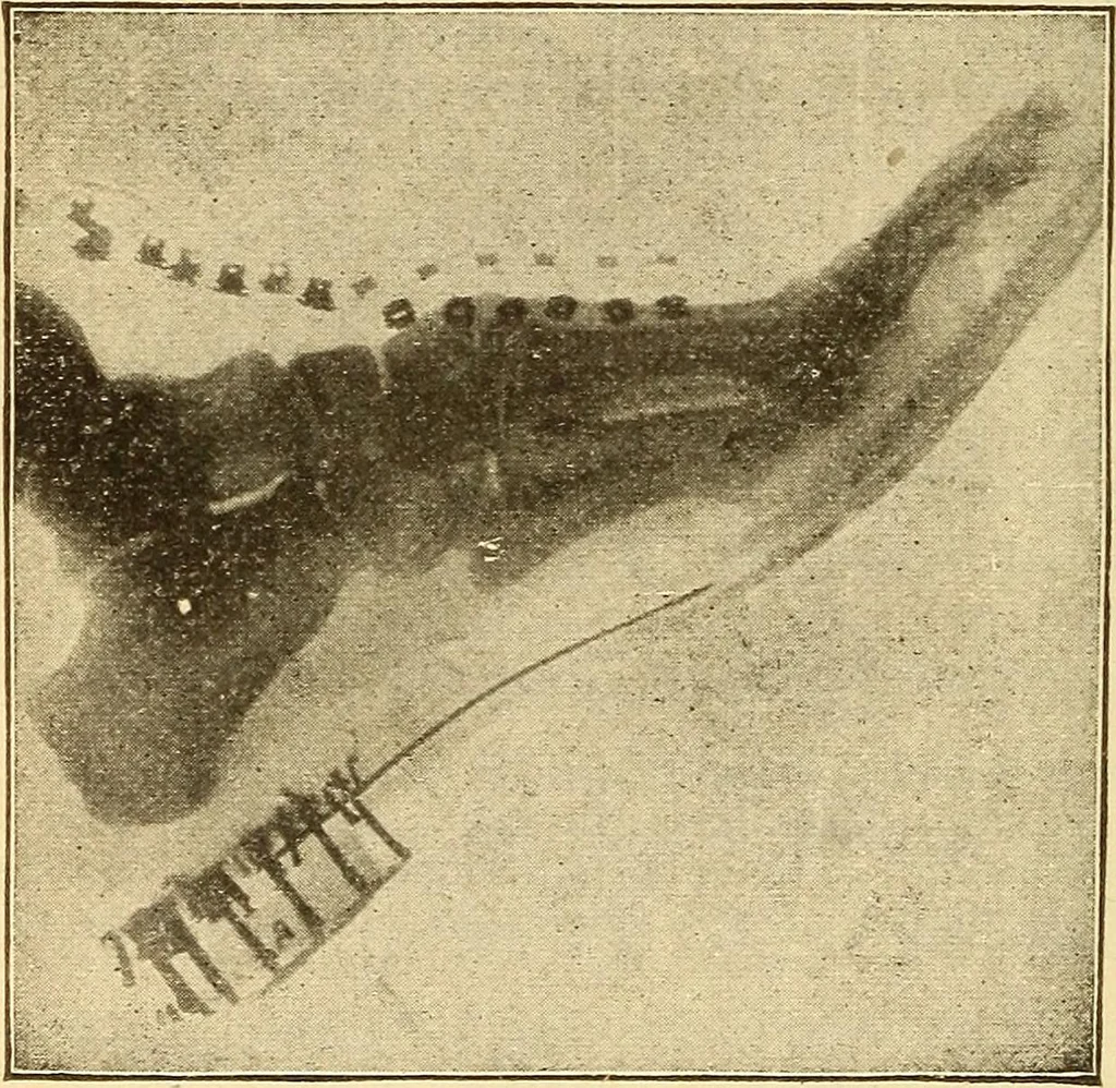 An illustration from Lessons in practical electricity; principles, experiments, and arithmetical problems, an elementary text-book, 1903, leaf 343