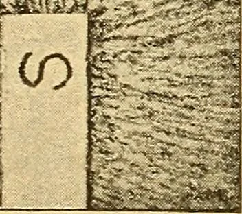 An illustration from Lessons in practical electricity; principles, experiments, and arithmetical problems, an elementary text-book, 1903, leaf 38