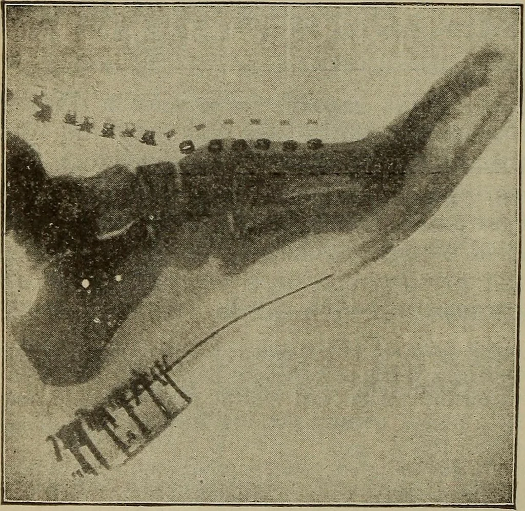 An illustration from Lessons in practical electricity; principles, experiments, and arithmetical problems, an elementary text-book, 1902, leaf 343