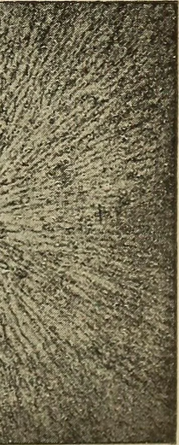 An illustration from Lessons in practical electricity; principles, experiments, and arithmetical problems, an elementary text-book, 1902, leaf 38