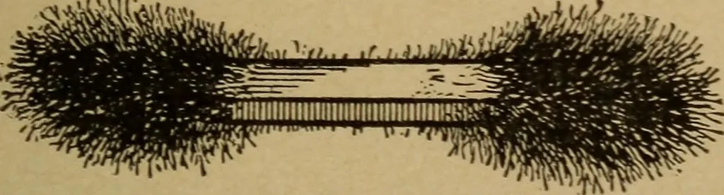 An illustration from Lessons in practical electricity; principles, experiments, and arithmetical problems; over four hundred illustrations; an elementary text book, 1909, leaf 20