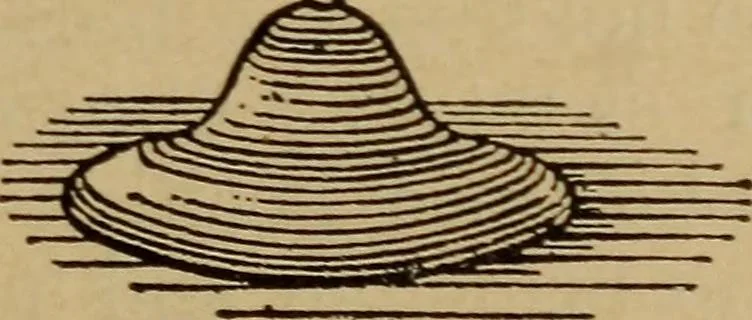 An illustration from Lessons in practical electricity; principles, experiments, and arithmetical problems; over four hundred illustrations; an elementary text book, 1909, leaf 30
