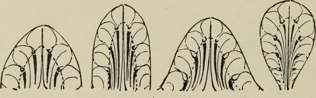 An illustration from Lessons on decorative design, 1888, leaf 171