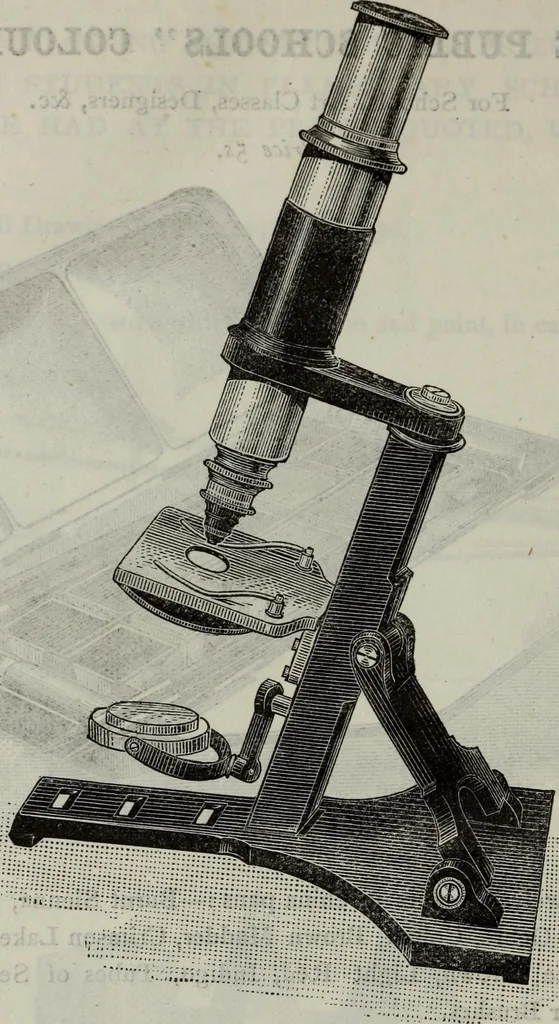 An illustration from Lessons on decorative design, 1888, leaf 235
