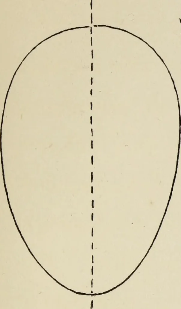 An illustration from Lessons on decorative design, 1888, leaf 30