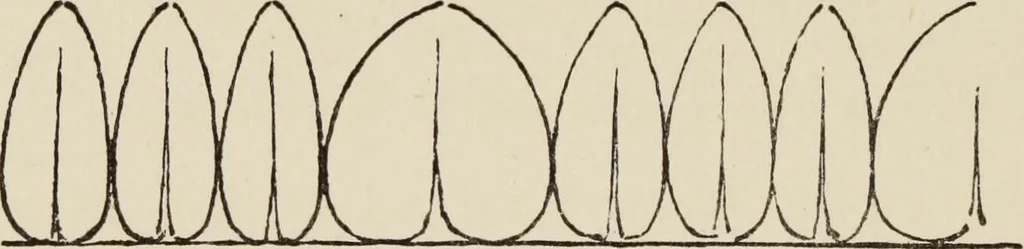An illustration from Lessons on decorative design, 1888, leaf 30