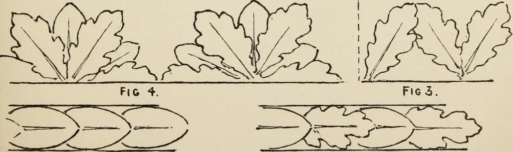 An illustration from Lessons on decorative design, 1888, leaf 30
