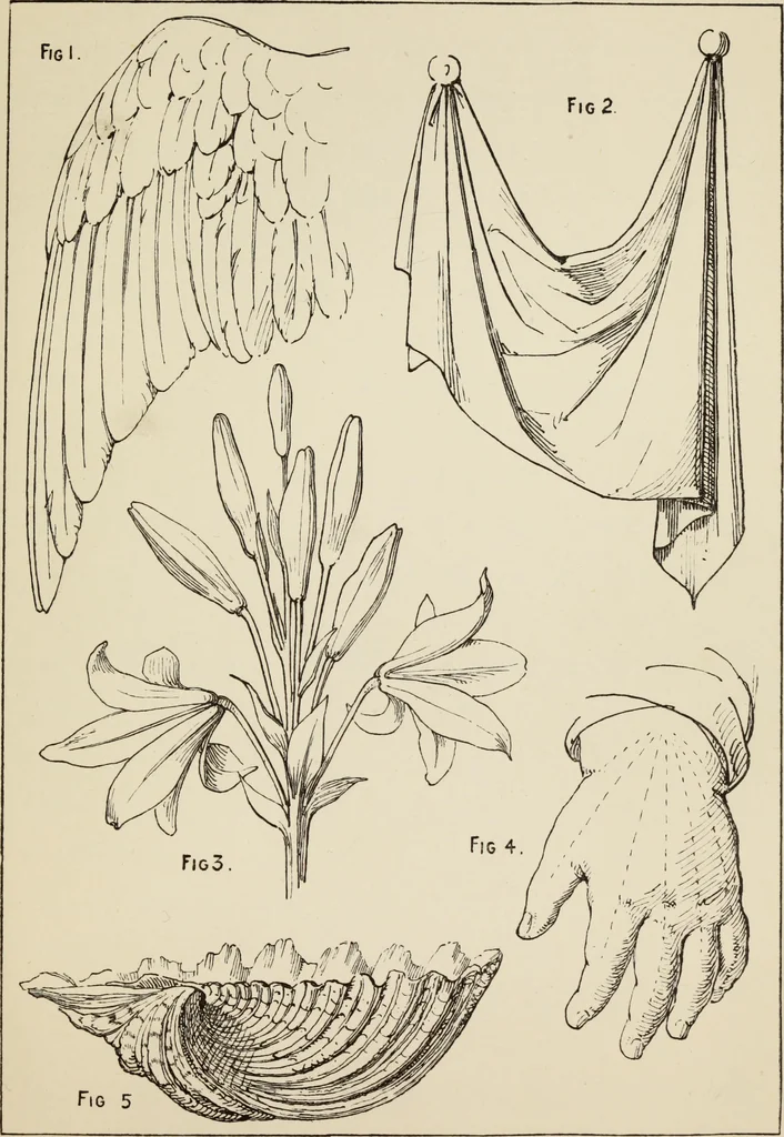 An illustration from Lessons on decorative design, 1888, leaf 36
