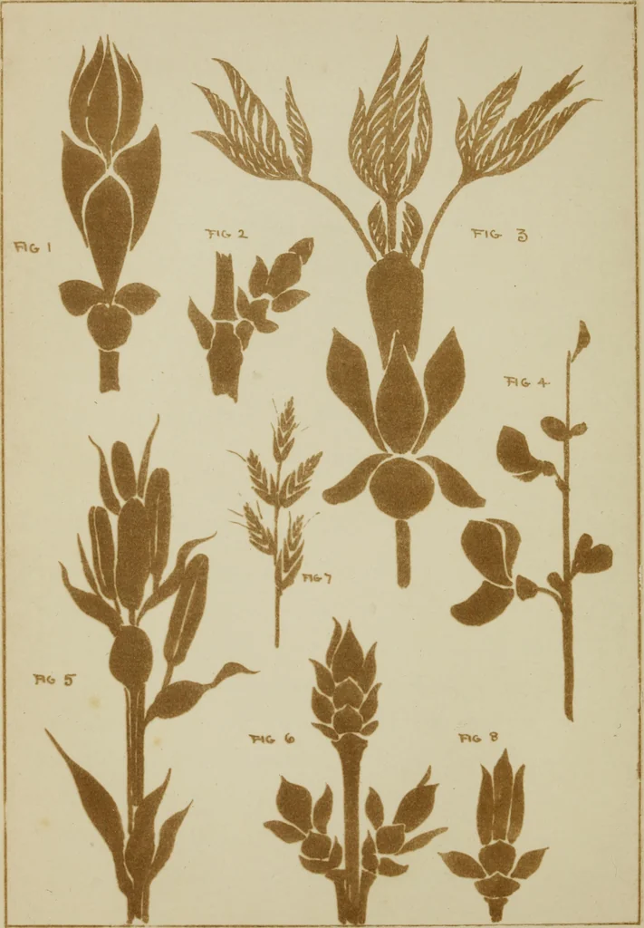 An illustration from Lessons on decorative design, 1888, leaf 89