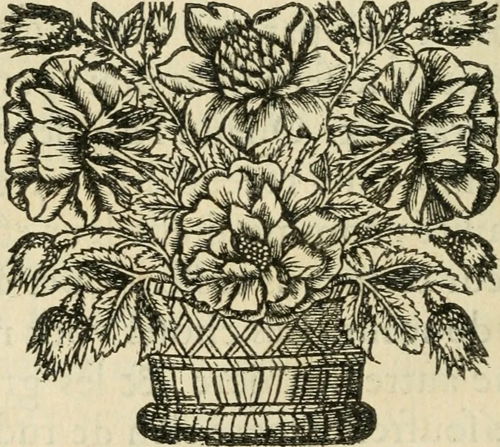 An illustration from Les Tableavx de la penitence, 1654, leaf 149