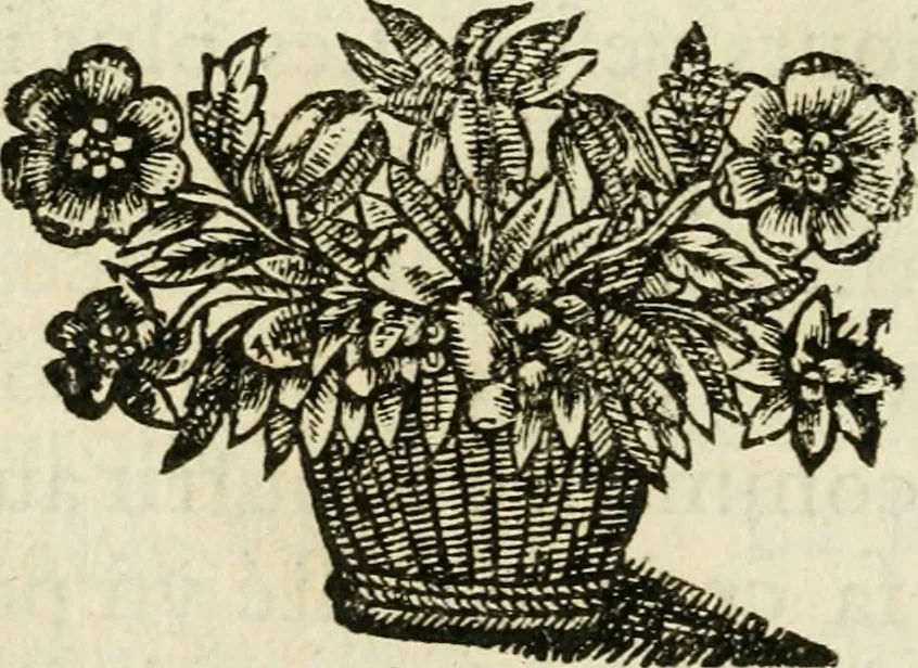 An illustration from Les Tableavx de la penitence, 1654, leaf 423