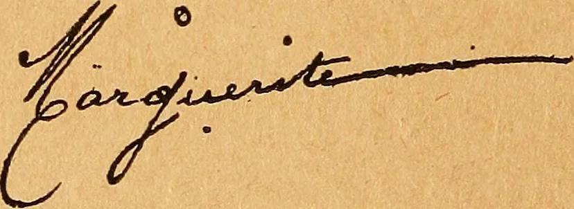 An illustration from Les états superficiels de l'hypnose, 1893, leaf 103