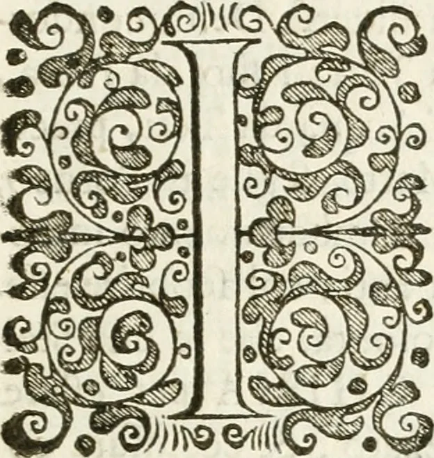 An illustration from Le stelle combattvte dagli elementi : torneo rapresentato in Ferrara da diversi cavalieri per ossequiare il merito infinito dell'emin.mo e reu.mo prencipe il sig. cardinale Sigismondo Chigi, loro dignissimo legato : nel tempo, che si fecero le nozze frà la signora Beatrice Bentivogli e sig. conte Ercole Pepoli, 1676, leaf 12