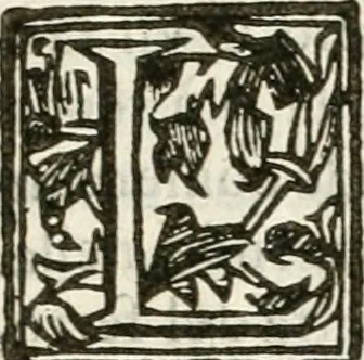 An illustration from Le stelle combattvte dagli elementi : torneo rapresentato in Ferrara da diversi cavalieri per ossequiare il merito infinito dell'emin.mo e reu.mo prencipe il sig. cardinale Sigismondo Chigi, loro dignissimo legato : nel tempo, che si fecero le nozze frà la signora Beatrice Bentivogli e sig. conte Ercole Pepoli, 1676, leaf 14