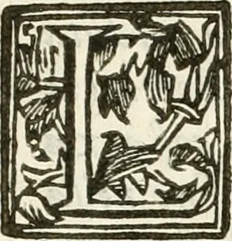 An illustration from Le stelle combattvte dagli elementi : torneo rapresentato in Ferrara da diversi cavalieri per ossequiare il merito infinito dell'emin.mo e reu.mo prencipe il sig. cardinale Sigismondo Chigi, loro dignissimo legato : nel tempo, che si fecero le nozze frà la signora Beatrice Bentivogli e sig. conte Ercole Pepoli, 1676, leaf 8
