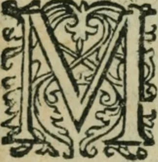 An illustration from Les tiltres d'hevr et de vertu de fev tres-chrestien Henry IIII. du nom, roy de France & de Nauarre, accommodez av noble & glorieux surnom de Grand, à luy publiquement donne pour epithete d'honneur apres sa mort, 1610, leaf 118